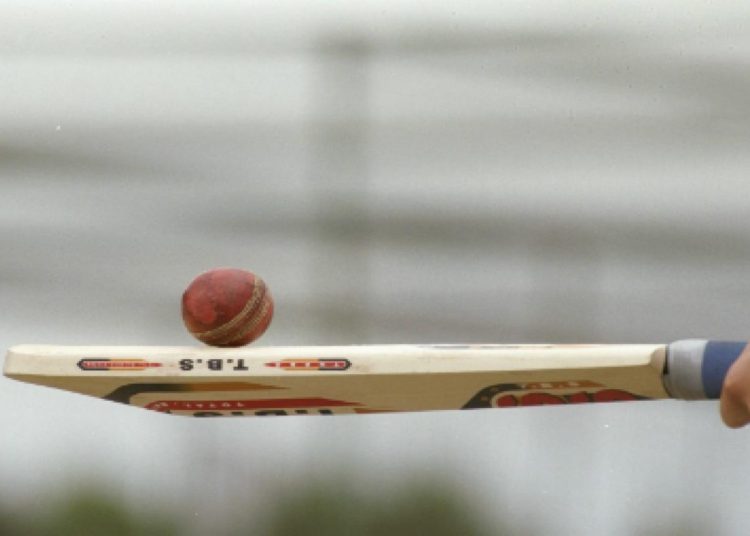 Australia's chief medical officer says 'cricket not possible soon'