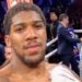 Anthony Joshua Boxing