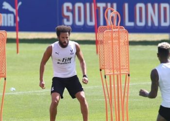 Townsend thanks Palace for support during coronavirus