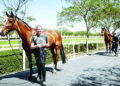 Al Shaqab to participate in Menton Horse Championship in France