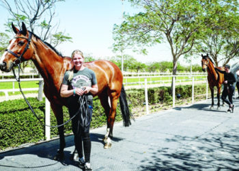 Al Shaqab to participate in Menton Horse Championship in France