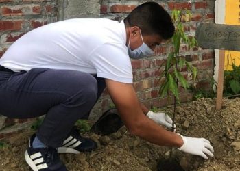 Indian footballers take part in afforestation drive in Imphal