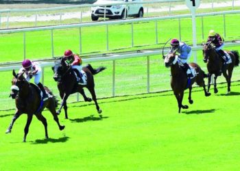 QREC keen on promoting horse racing in Qatar