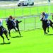QREC keen on promoting horse racing in Qatar