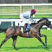 Al Shaqab Racing’s Al Rufaa scores third consecutive win