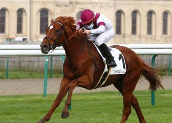 Al Attiyah’s HAYZUM wins Listed Grand Prix du Nord