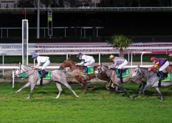 Munir du Soleil wins Listed Prix Ourour in Toulouse