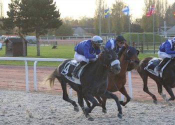 Al Attiyah’s NIJINSKI shines in Belgium