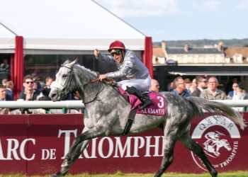 $1.37m up for grabs at Qatar International Derby Festival
