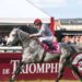 $1.37m up for grabs at Qatar International Derby Festival