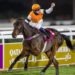 Injaaz Stud’s Hellenistique wins Qatar Derby