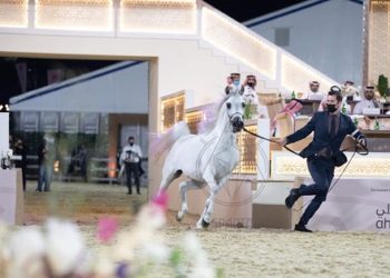 KIAHF: Qualifying rounds for mares, stallions will be held today