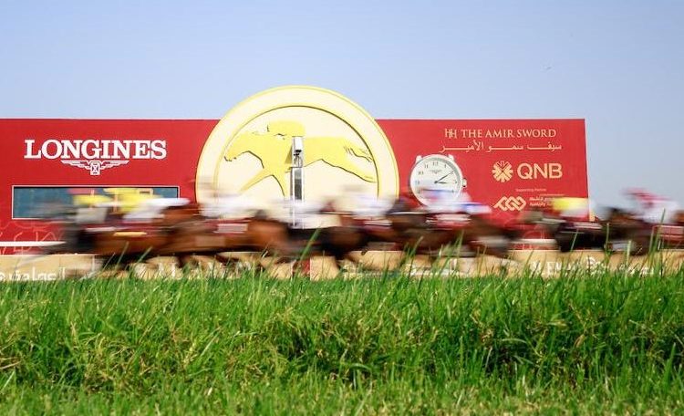 HH The Amir Sword Festival: Qatari horses to compete against Europe’s best