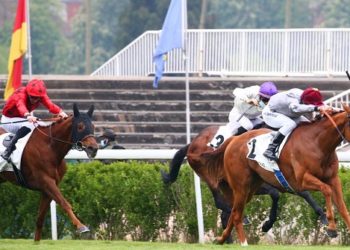 DUHAIL wins Group race in Prix du Mugeut (Group 2)