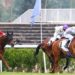 DUHAIL wins Group race in Prix du Mugeut (Group 2)