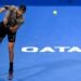 He played a masterclass match: Djokovic praises Berrettini after Qatar Open first round upset