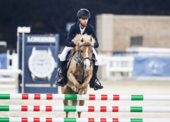 Longines Hathab–Qatar Equestrian Tour: Ninth leg starts from today
