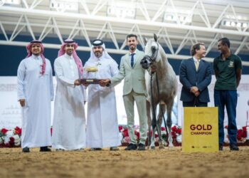 Al Shaqab International Arabian Horse Show concludes