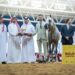 Al Shaqab International Arabian Horse Show concludes