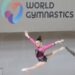 Doha Artistic Gymnastics World Cup cancelled over equipment delays