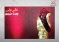 Amir Cup quarter-finals set for May 1, QFA says