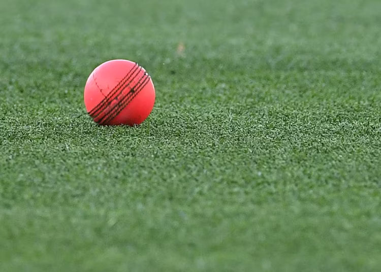 ICC Approves Pink-Ball Trial in Day Tests to Reduce Bad-Light Interruptions