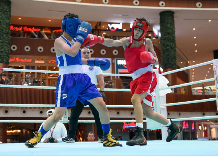 Qatar Olympic Committee marks Olympic Day with boxing championship