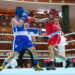 Qatar Olympic Committee marks Olympic Day with boxing championship