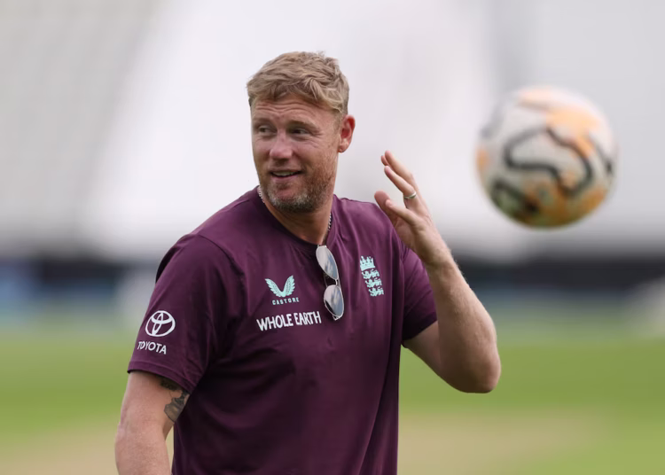 Flintoff steps down as England Lions coach